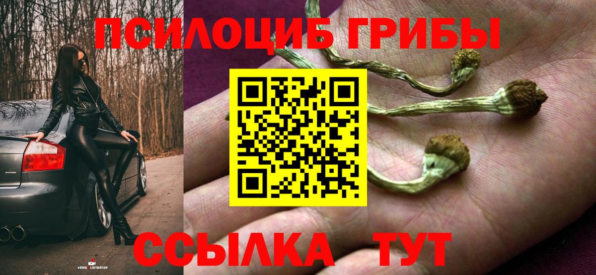 Псилоцибиновые грибы GOLDEN TEACHER Тверь