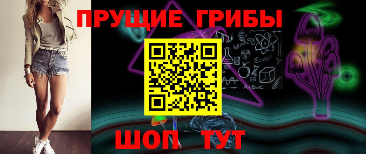 Псилоцибиновые грибы Psilocybine cubensis  Галлюциногенные грибы мицелий  Тверь  Вход с VPN 